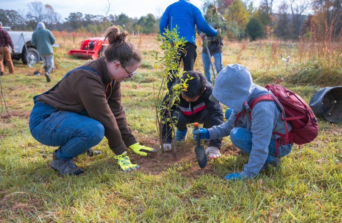 Fall Tree Planting