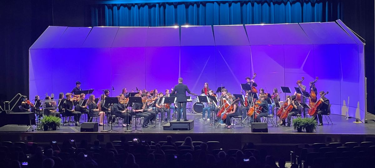 DTSOI Beginning, Middle School & High School Orchestra Winter Concert