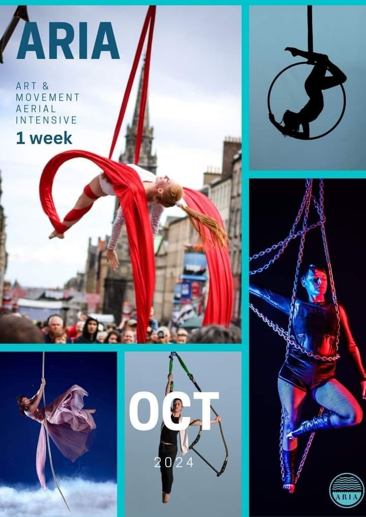 Aria Aerial October Intensive 2024