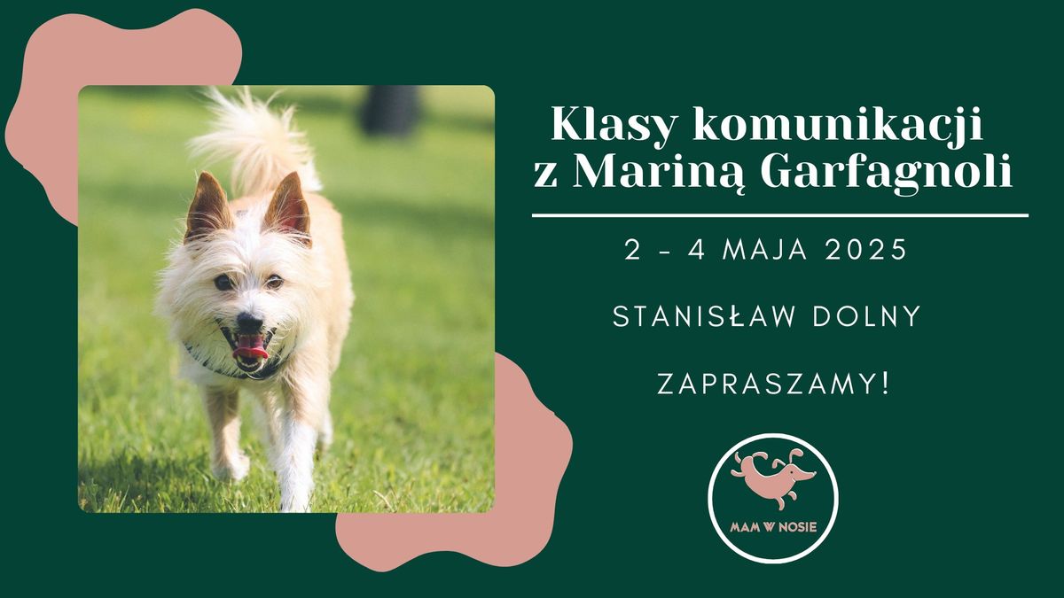 Klasy komunikacji z Marin\u0105 Garfagnoli 