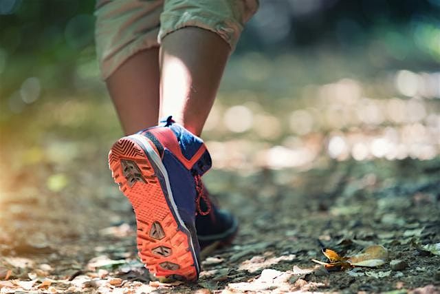 Walk, Talk & Thrive \u2013 FREE Women\u2019s Walking Group