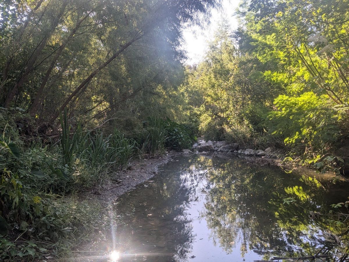 (Day after) It's My Park Day  - creek cleanup, wildflower seeds, nature art