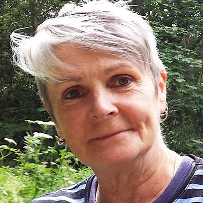 Fiona McDonald - Zen Constellations