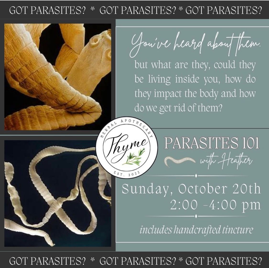 Parasites 101