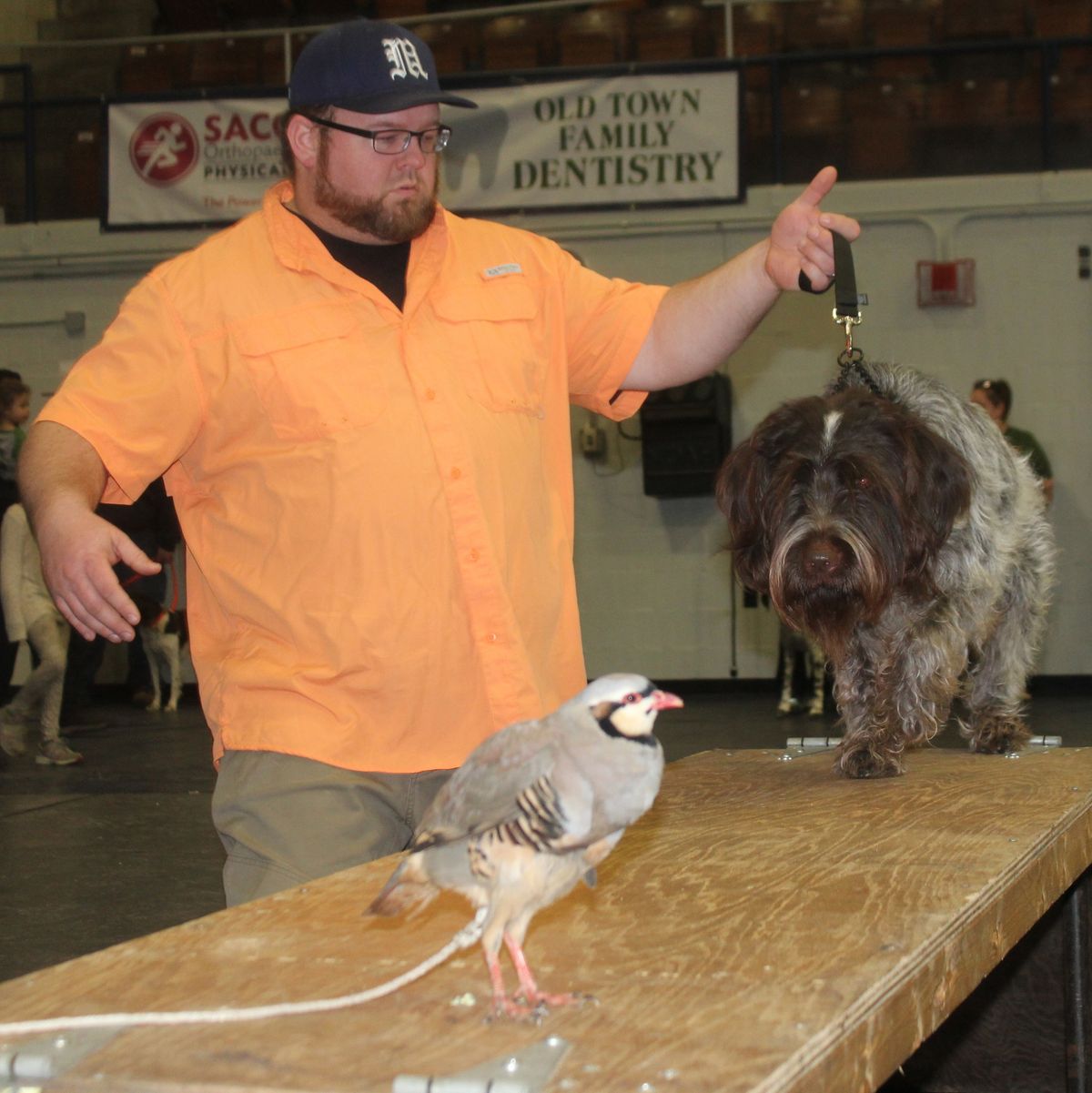 Versatile Dog demos at the Kora Shrine Outdoor Expo