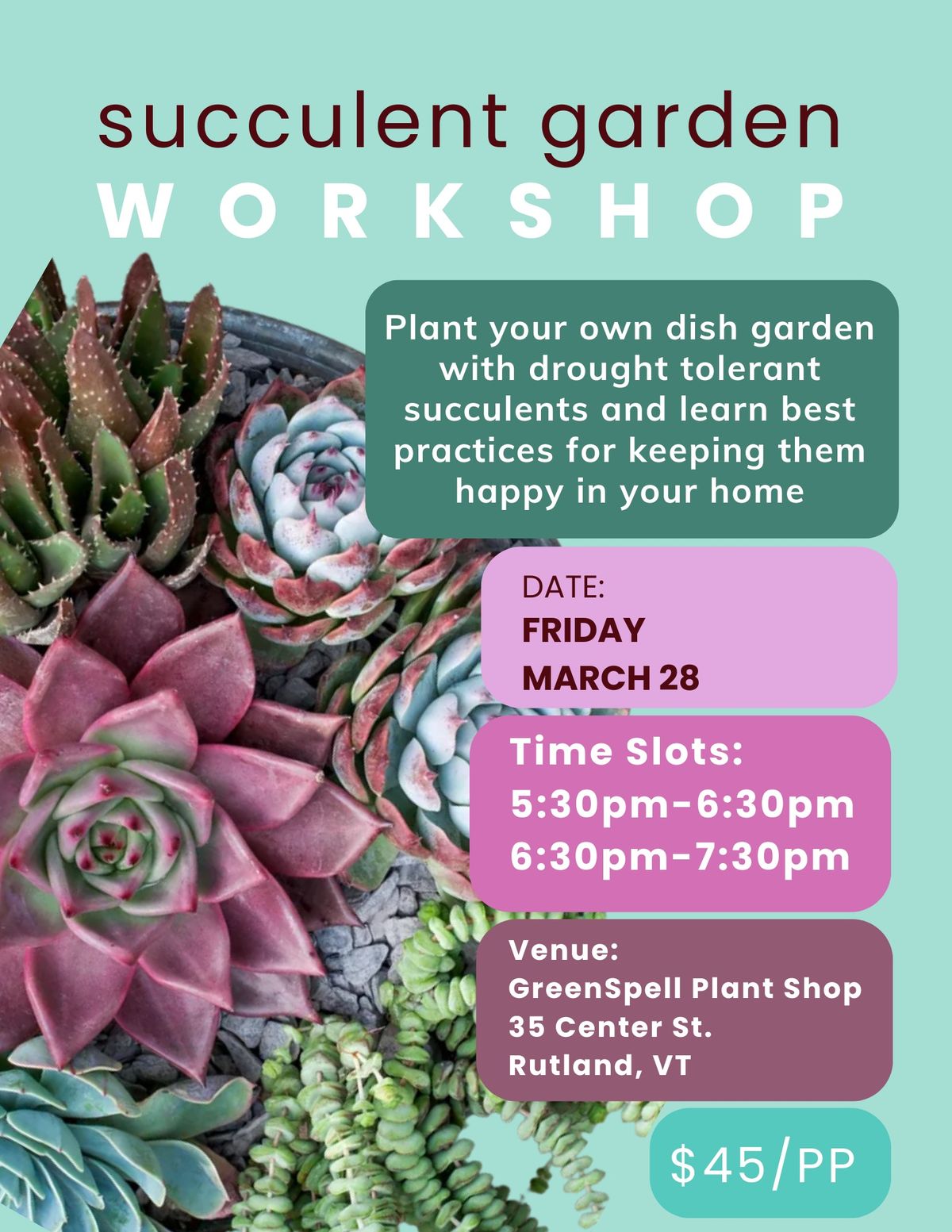 Succulent garden workshop