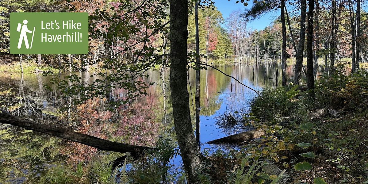 Let's Hike Haverhill: Meadow Brook Conservation Area