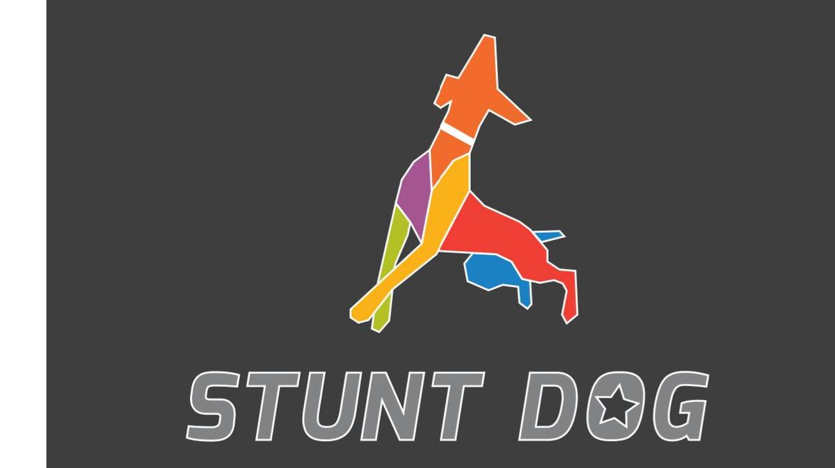 Stunt Dog Showcae: Day #1