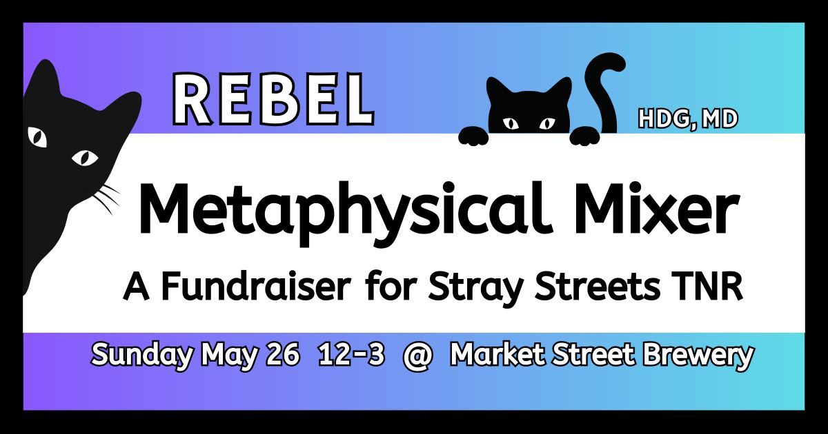 Metaphysical Mixer - Have Fun For A Good Cause