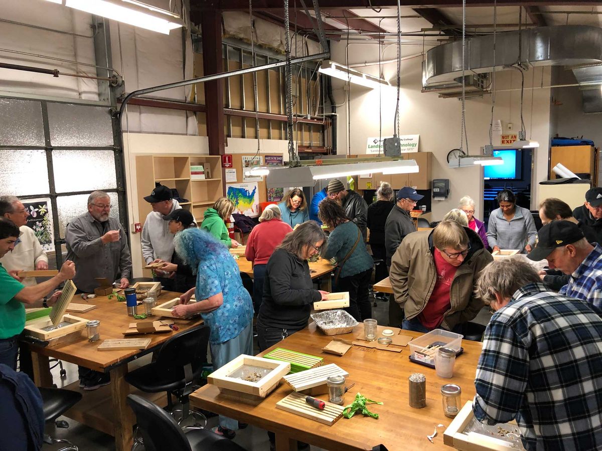 Mason Bee Cocoon Cleaning Workshop 