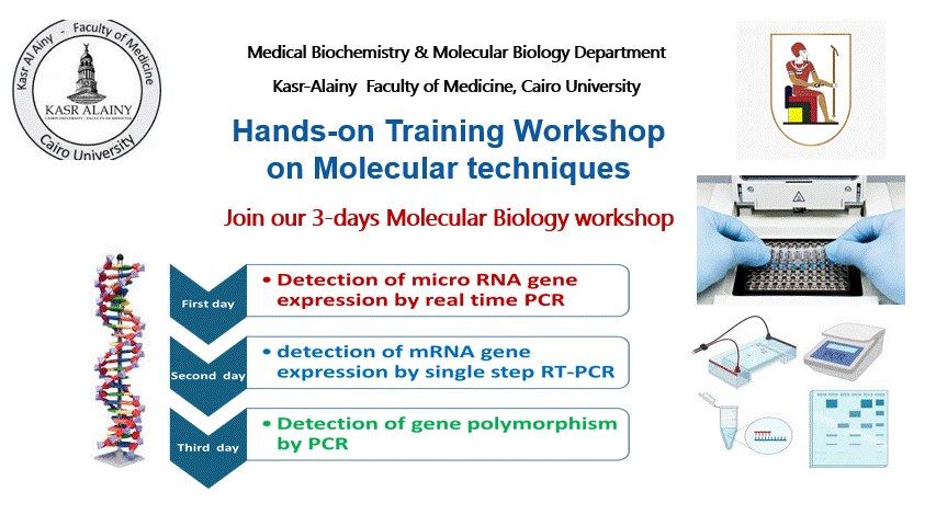 Hands-on Training Workshop on Molecular techniques