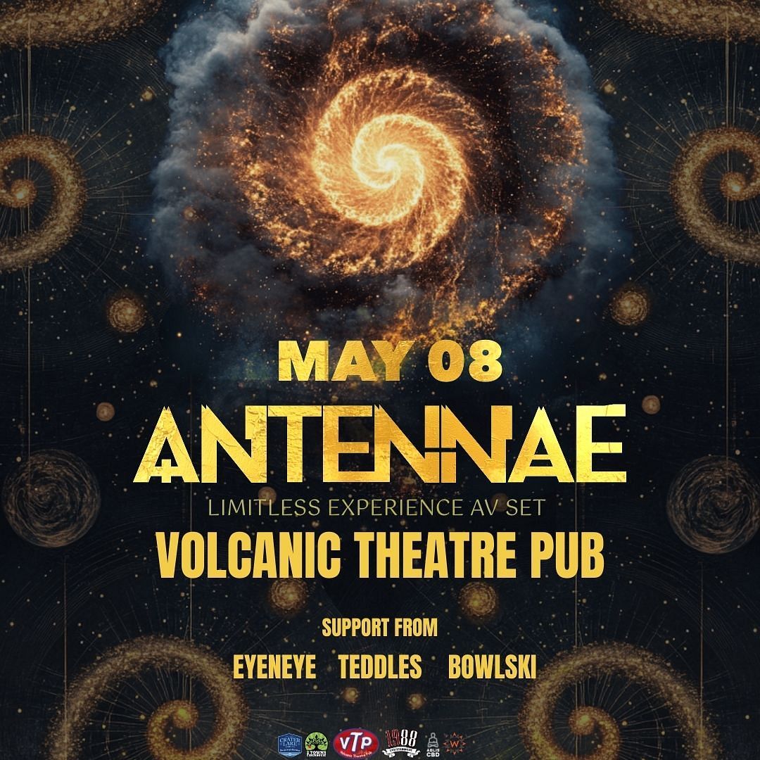 An Ten Nae at Meow Wolf - Denver