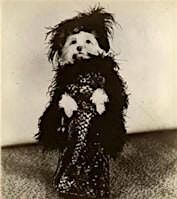 VINTAGE APPRECIATION PET FEST