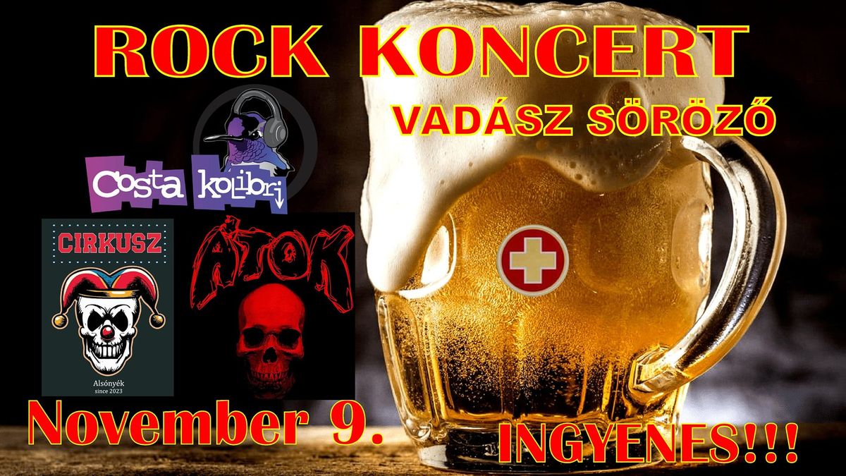 Rock koncert