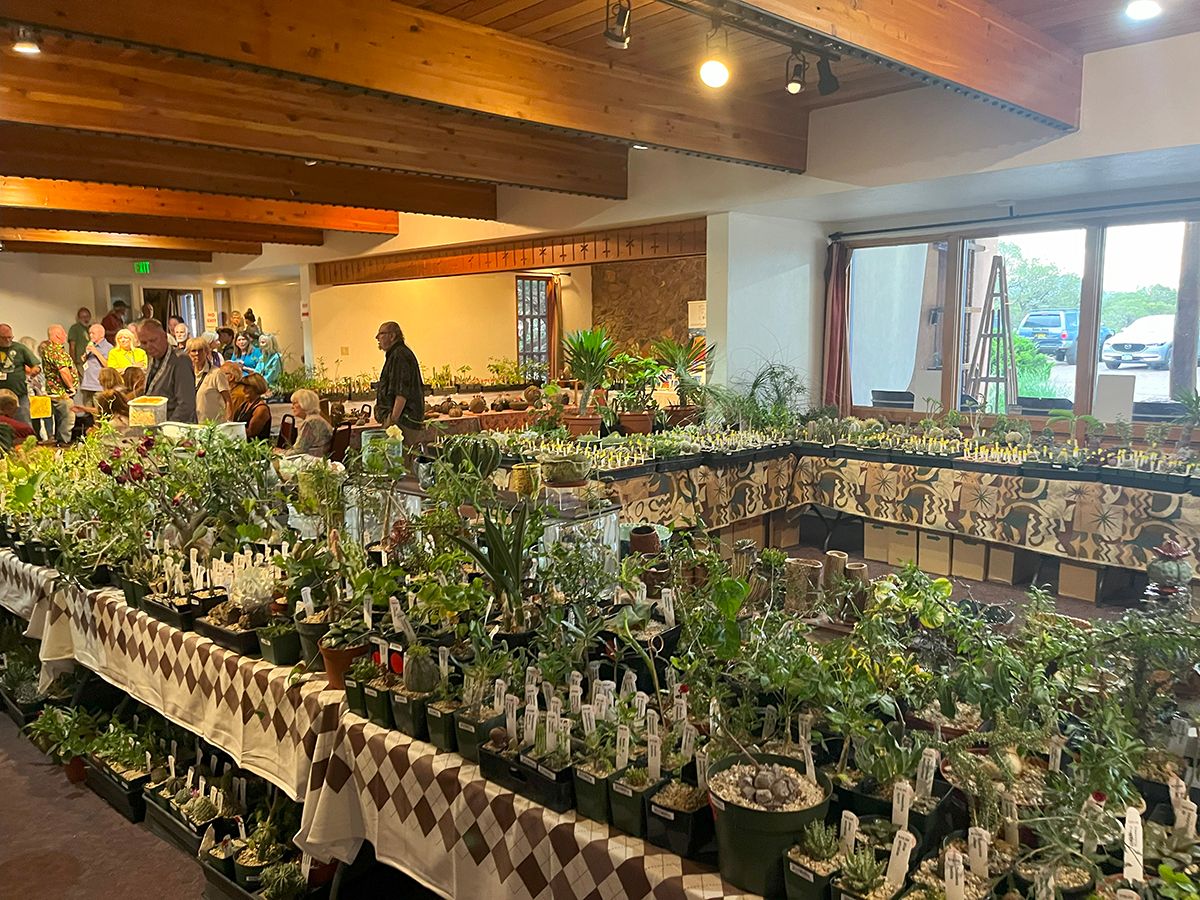 SFCSC Fall Cactus Sale