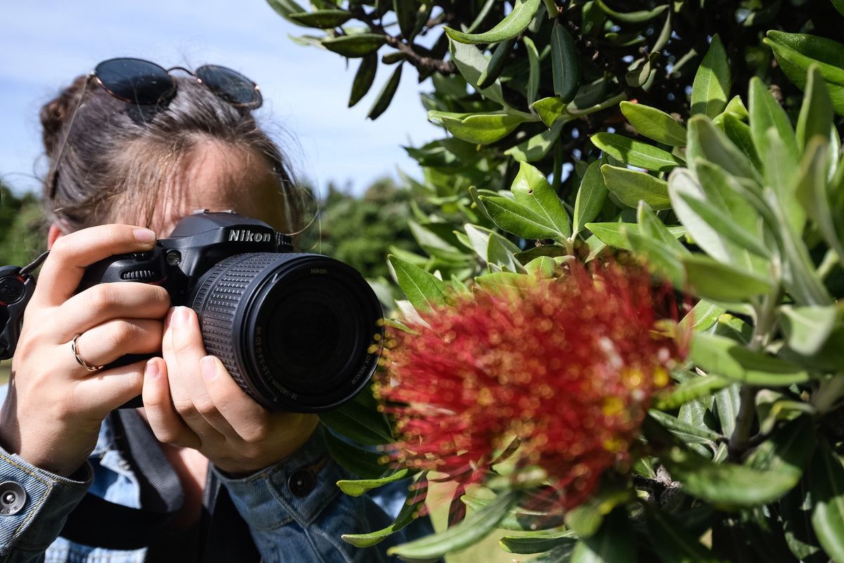 1-Day Beginners Photography Workshop - Wellington