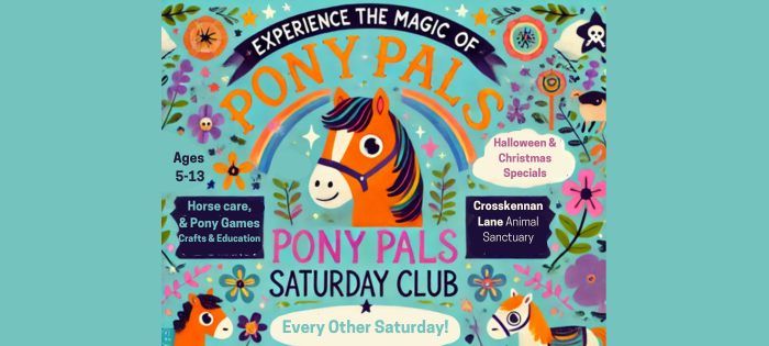 Pony Pals Saturday Club - Autumn Term 2024