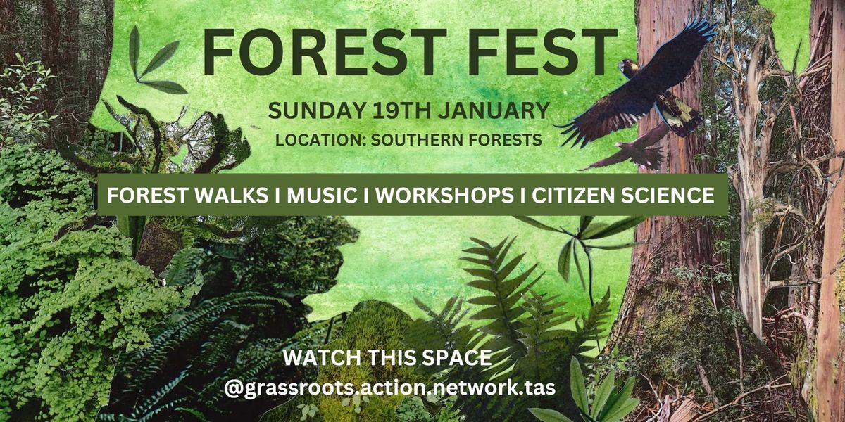 Forest Fest - 19 Jan 2025