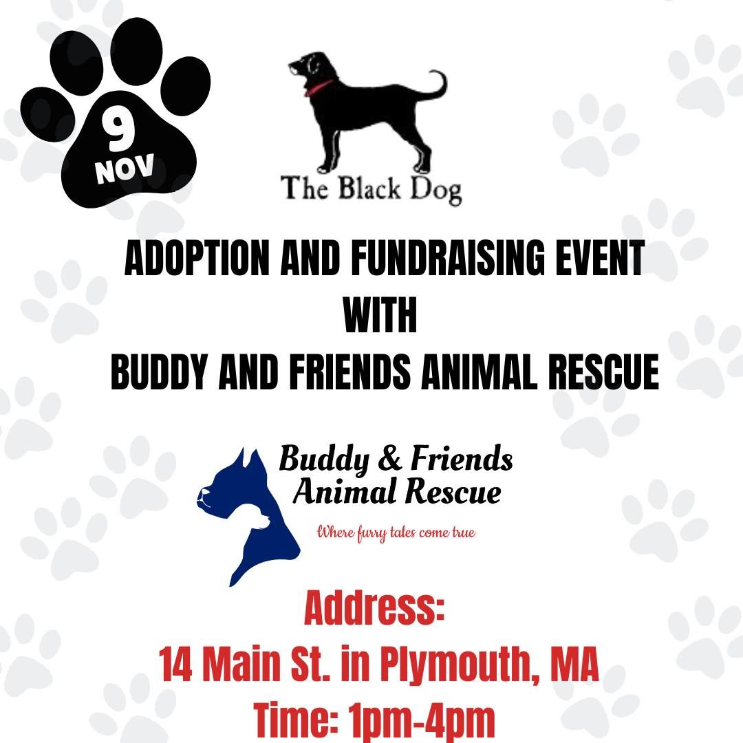 The Black Dog Adoption and Fundraising Event with BFAR