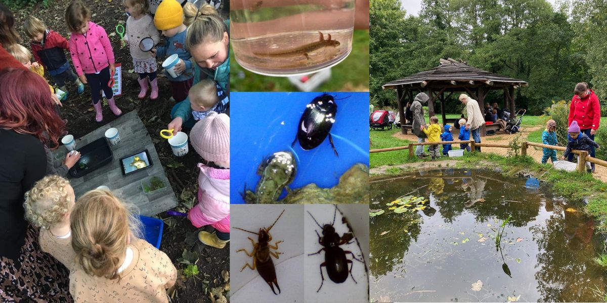 Family bug hunt and pond dip (during school day)