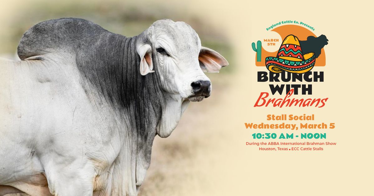 England Cattle Co. "Brunch with Brahmans" Stall Social