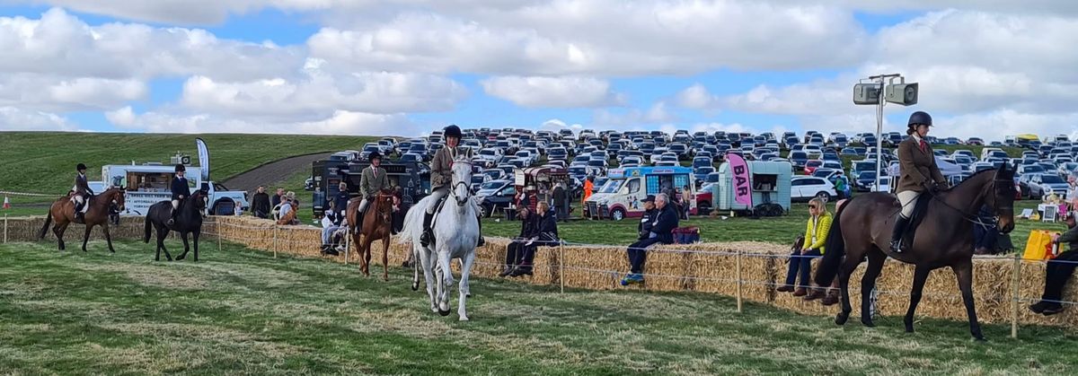 RoR Showing Classes at Middleham Open Day