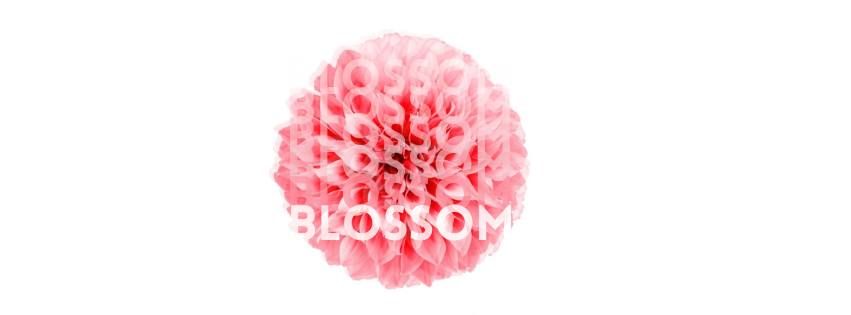 BLOSSOM: A Concert of Original Choral Music by Maren Haynes Marchesini