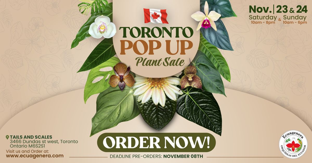 Toronto Pop Up - Plant Sale