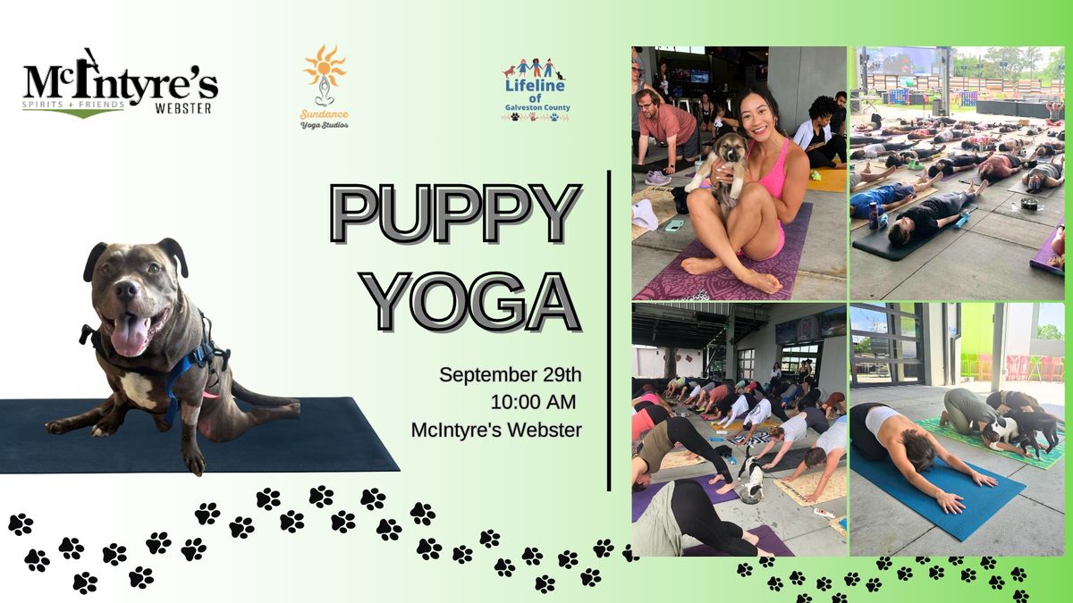 Puppy Yoga at McIntyer's Webster