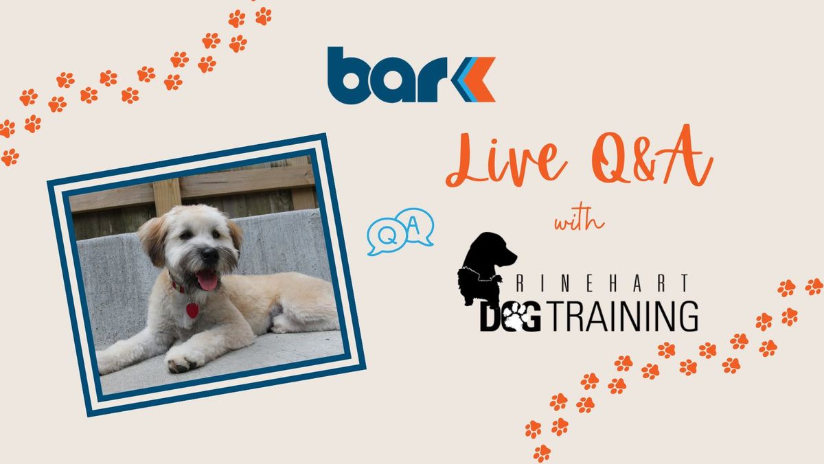 Dog Training Q&A