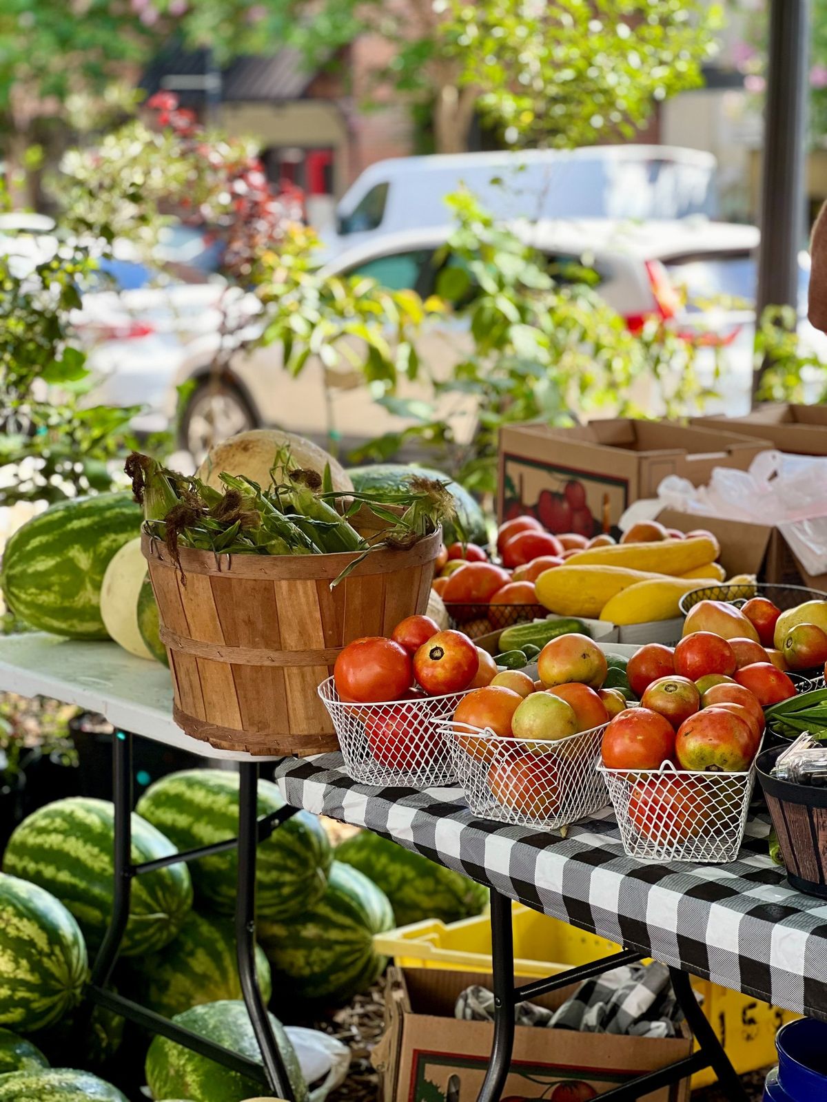 Palafox Market North 