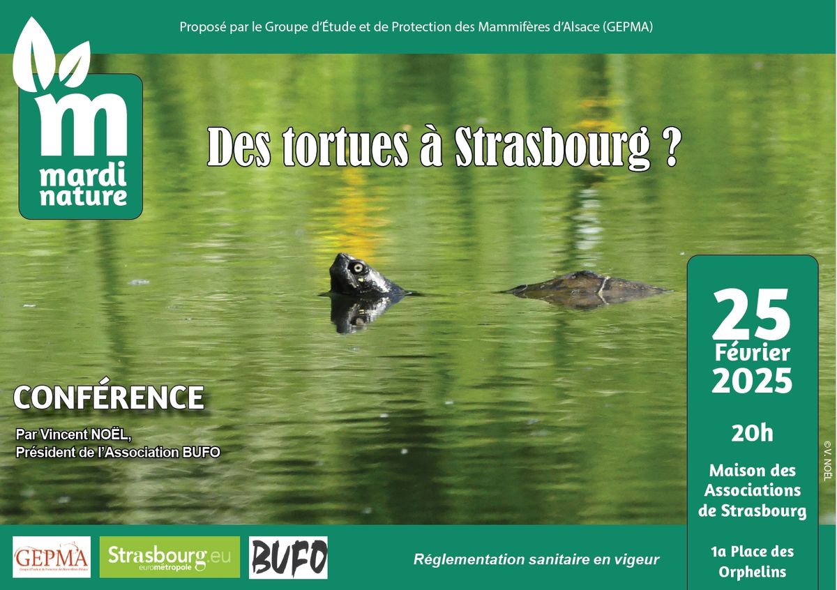 CONFERENCE: Des tortues \u00e0 Strasbourg ?