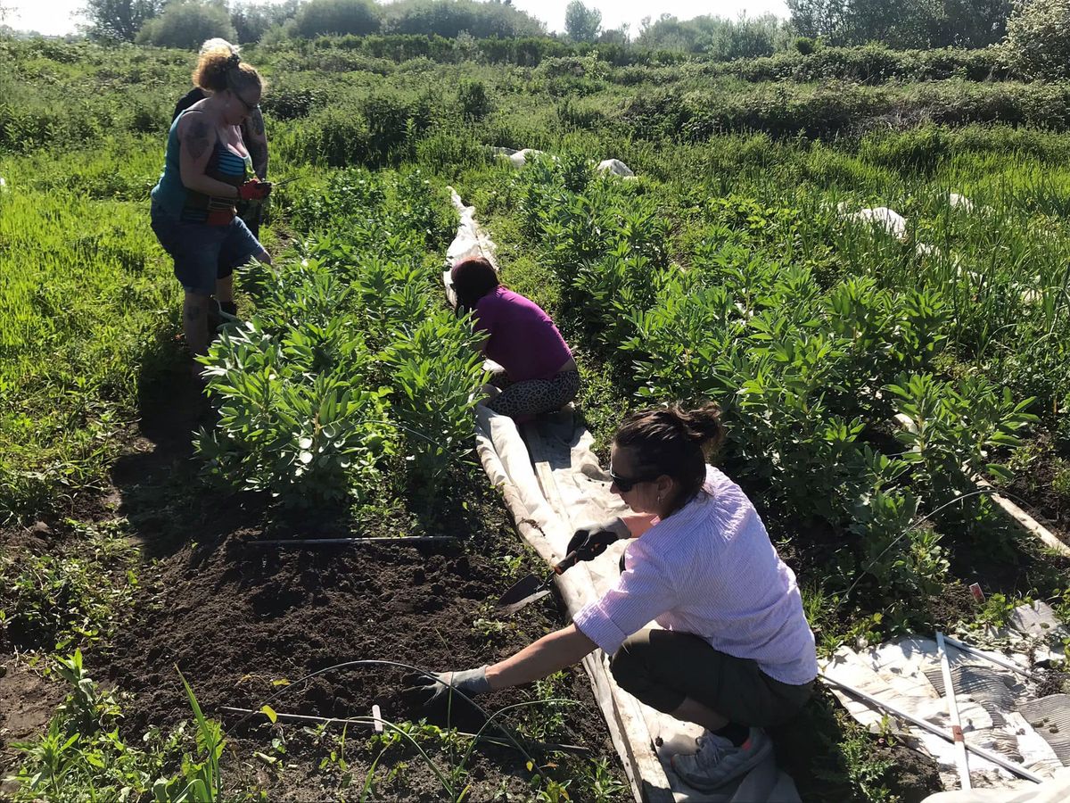 FREE!  Grow Your Own Food \u2013 Family-Friendly Workshop!