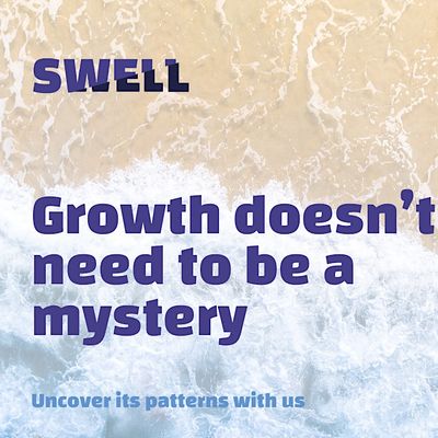 Swell Growth Marketing