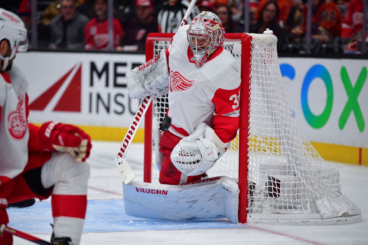 Detroit Red Wings at Anaheim Ducks