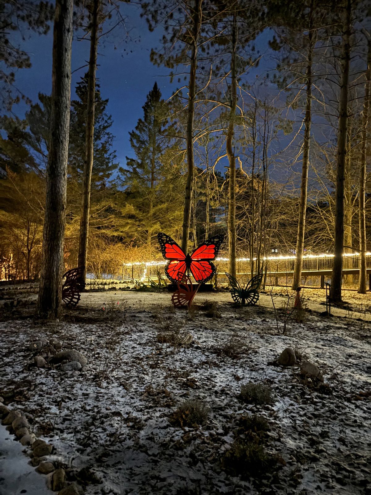 Night Hike 