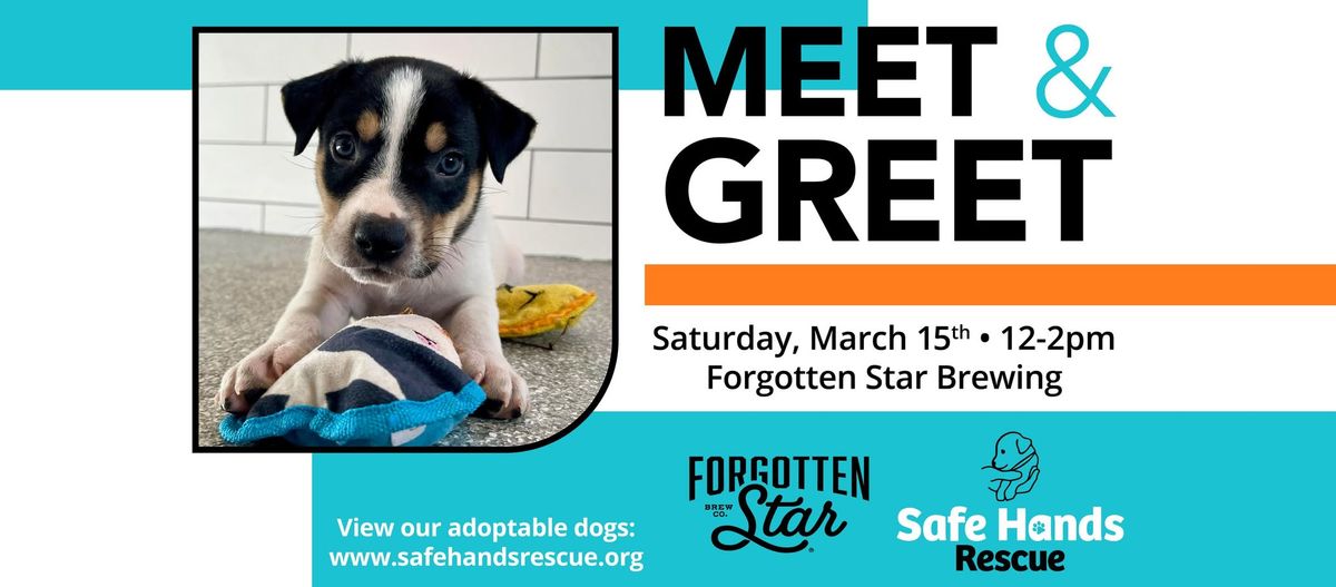 Safe Hands Rescue Meet & Greet at Forgotten Star Brewing