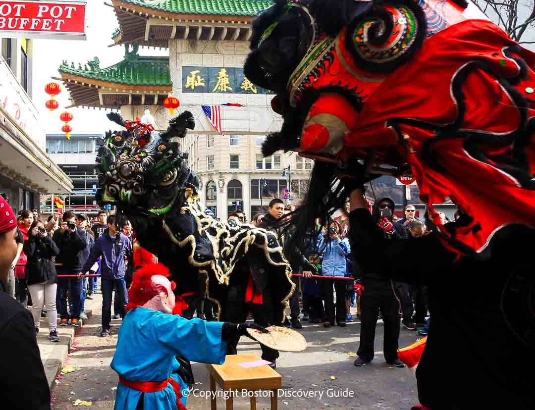 Toronto Symphony Orchestra: Lunar New Year: Year of the Horse