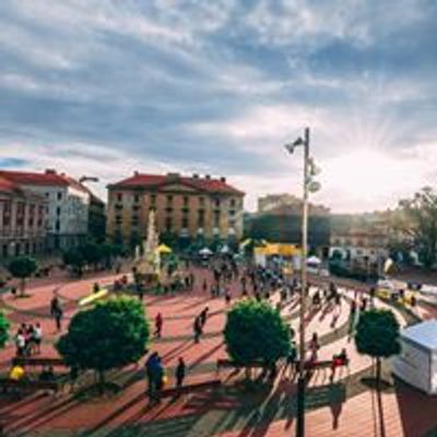 Timisoara City Marathon