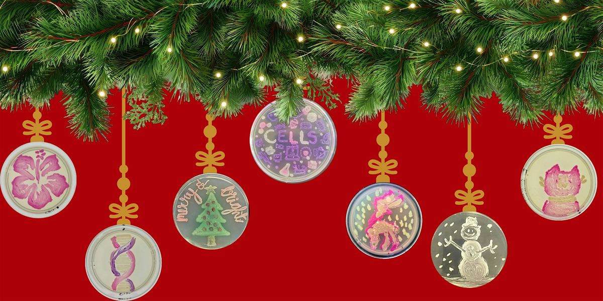 Make Holiday Ornaments: Agar & Micropipetting Art