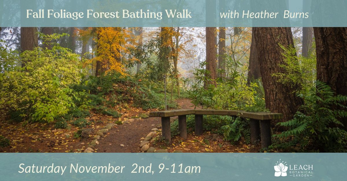 Fall Foliage Forest Bathing Walk with Heather Burns