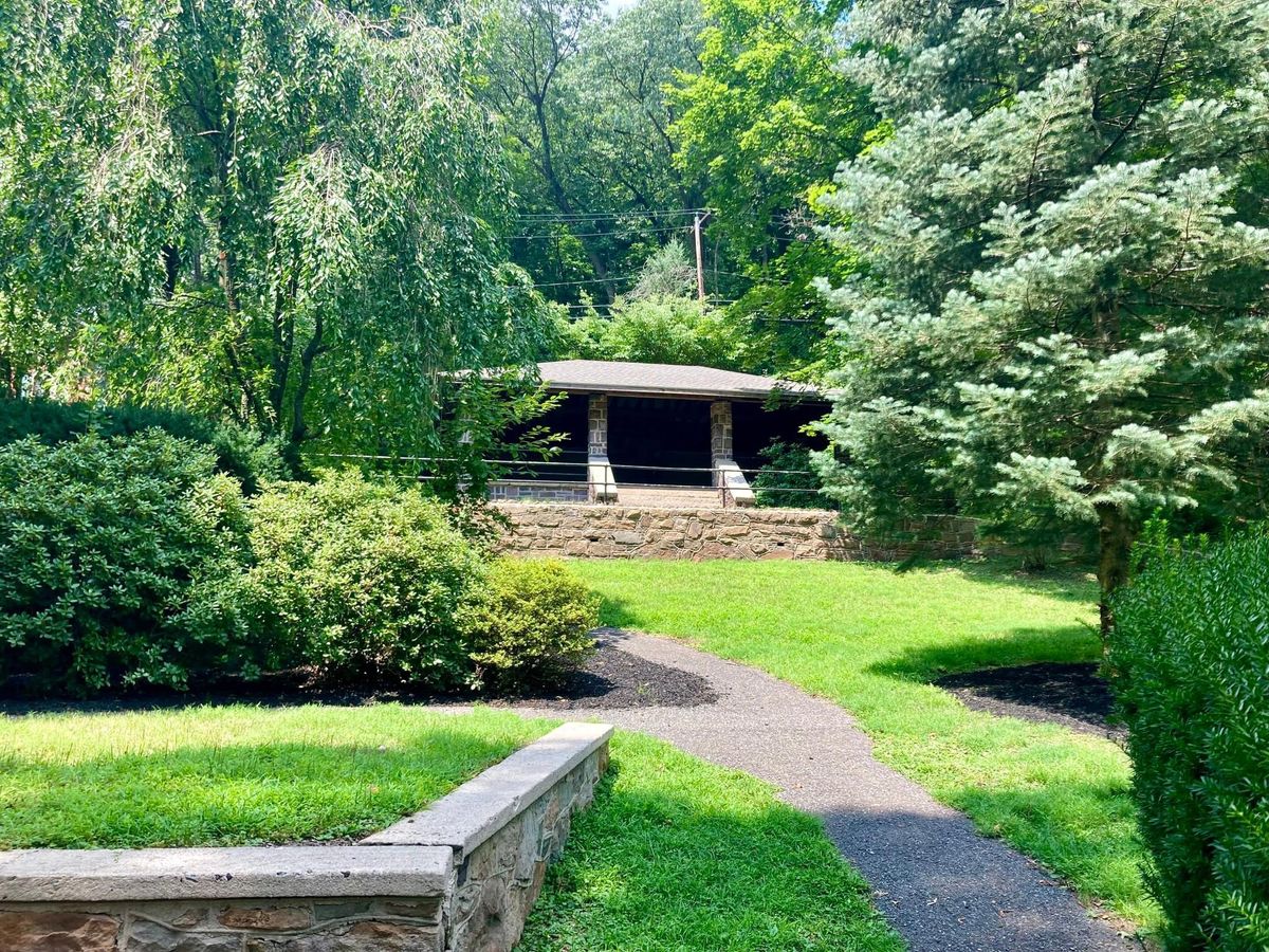 Yoga & Mindfullness in the Park