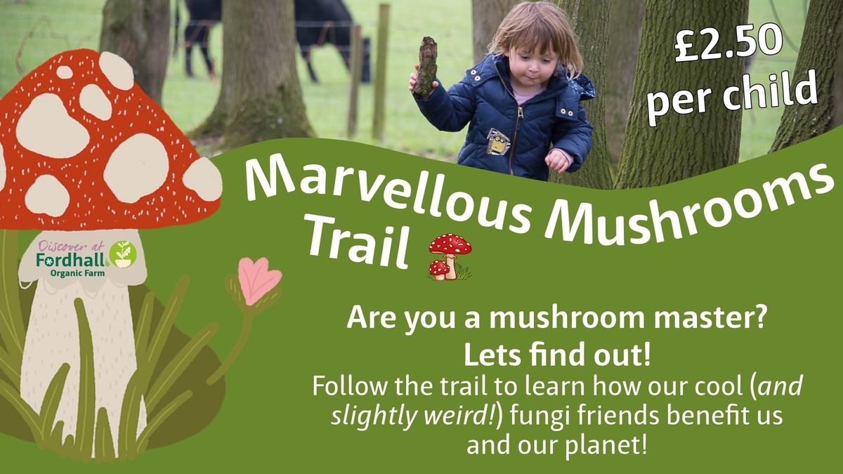 Marvellous Mushrooms Trail