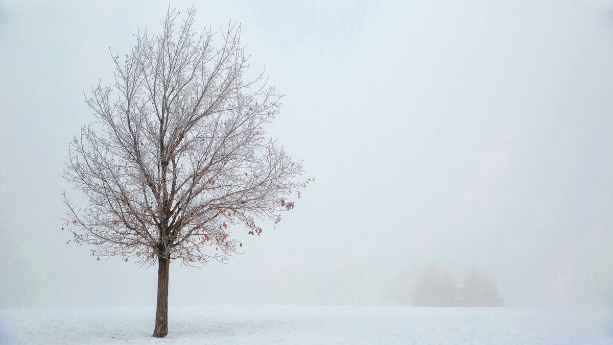 Winter Solstice Workshop at Monks Cottage Sanctuary