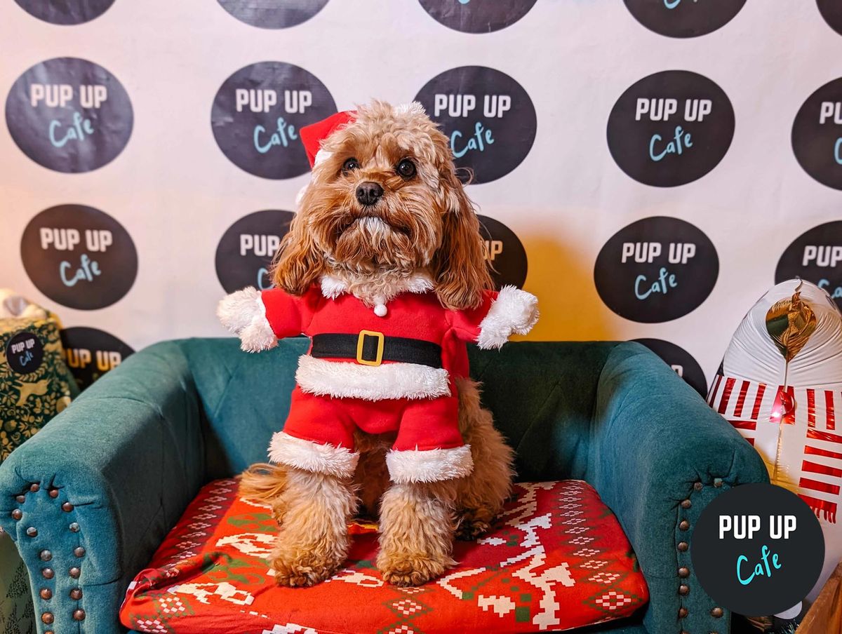 Liverpool - Jingle Paws Christmas Tour \ud83e\uddd1\ud83c\udffc\u200d\ud83c\udf84