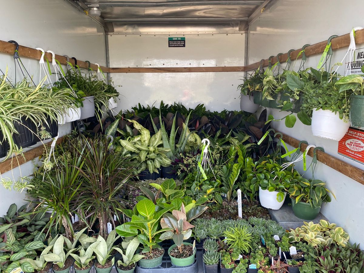 Stone & Spoon's Annual BIG Plant Sale (Part TWO)