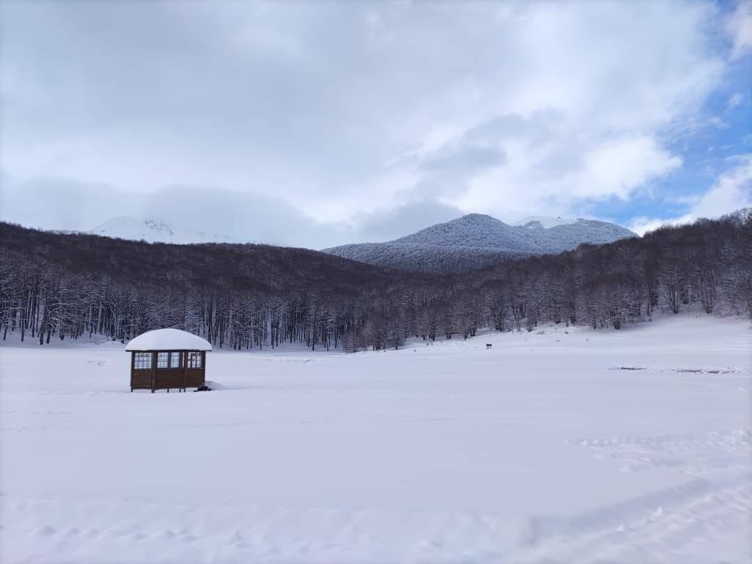 Ciaspolata a pianoro Campitelli di Alfedena 