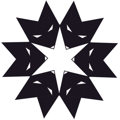 SnowFox Solutions