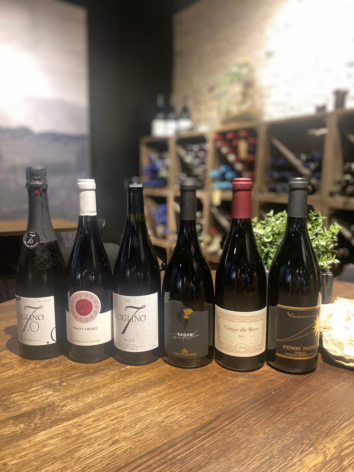 VINSMAGNING - PINOT NOIR FRA ITALIEN