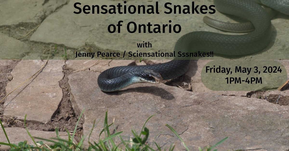 Sensational Snakes of Ontario!